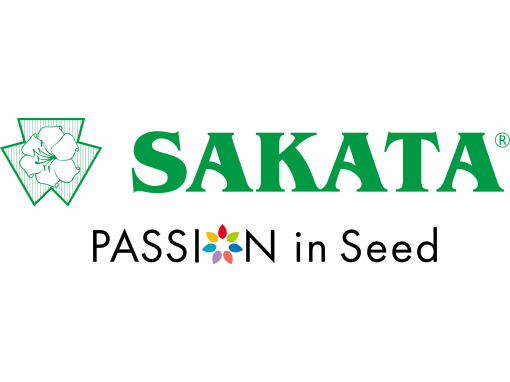 Sakata